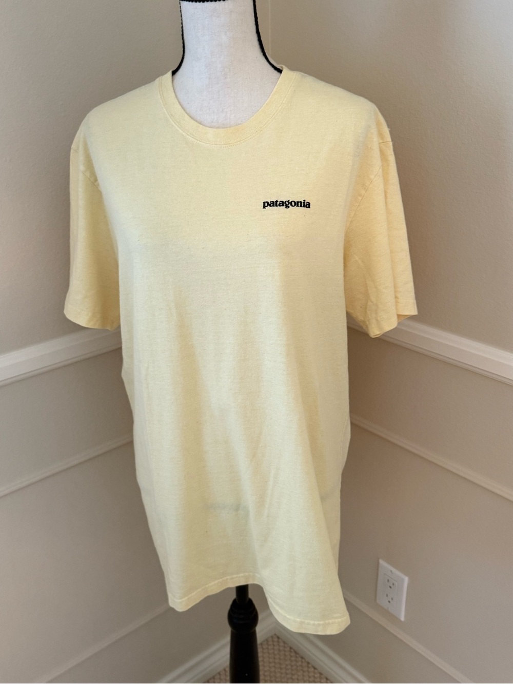 Patagonia men’s short sleeve t-shirt